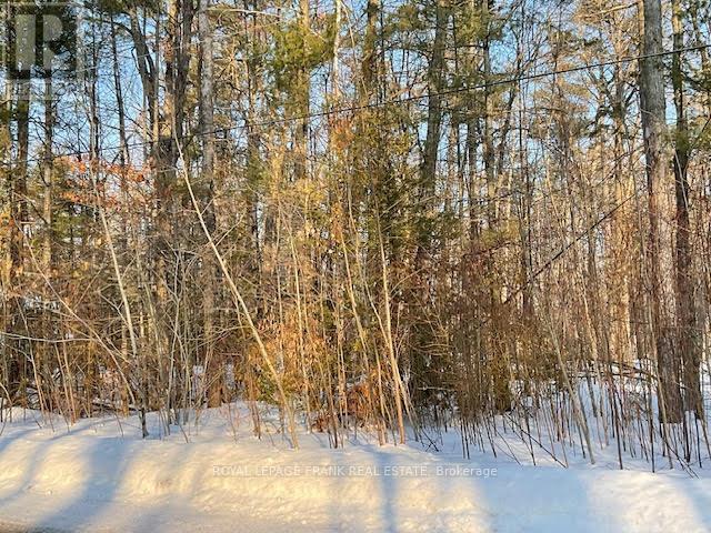 0 Sugarbush Crescent Property Photo 10