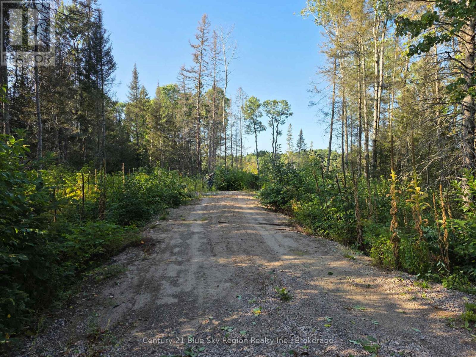 356 Hunt Line Property Photo 2