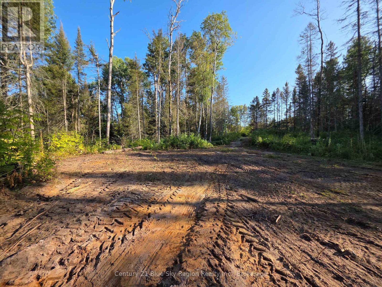 356 Hunt Line Property Photo 4