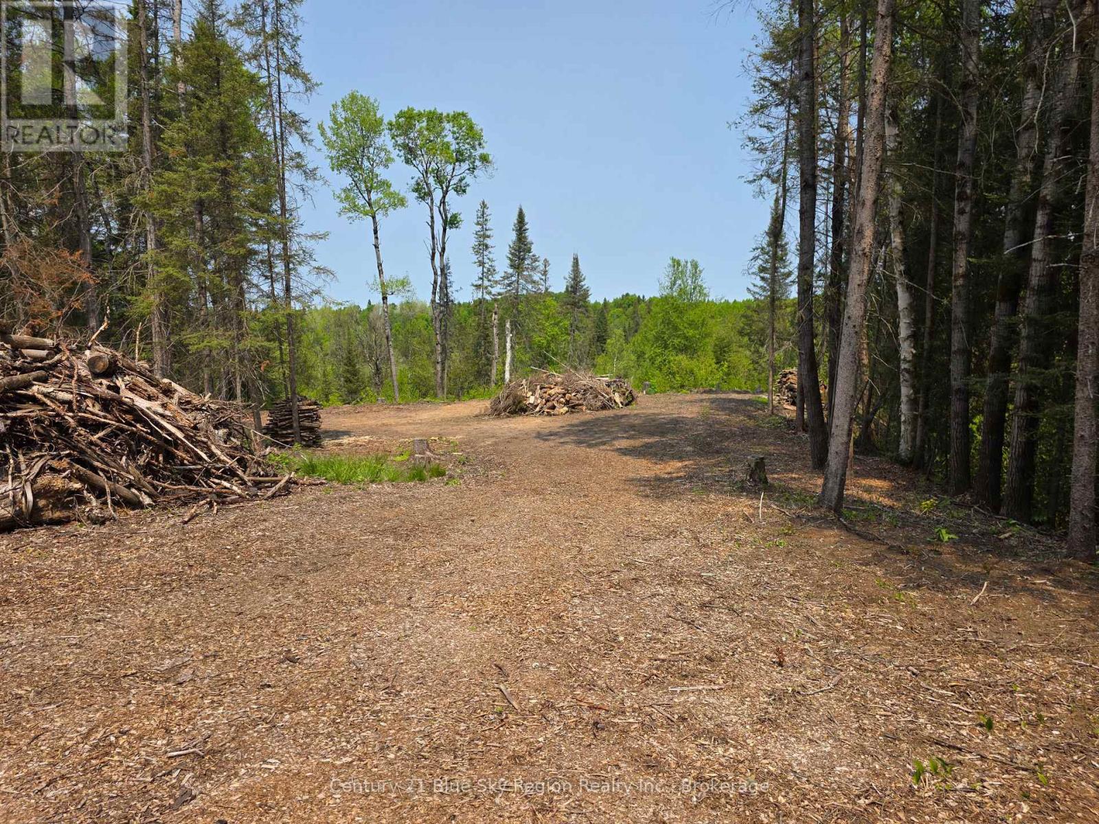 356 Hunt Line Property Photo 12