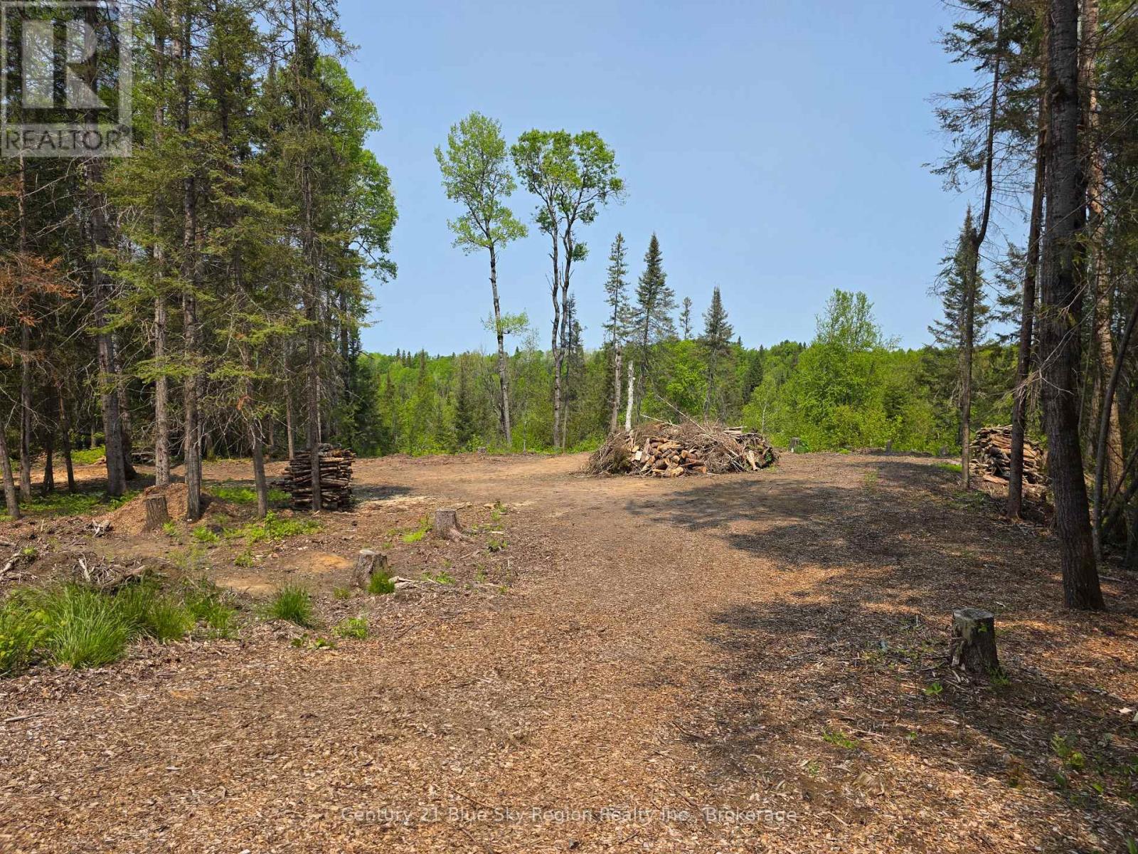 356 Hunt Line Property Photo 13
