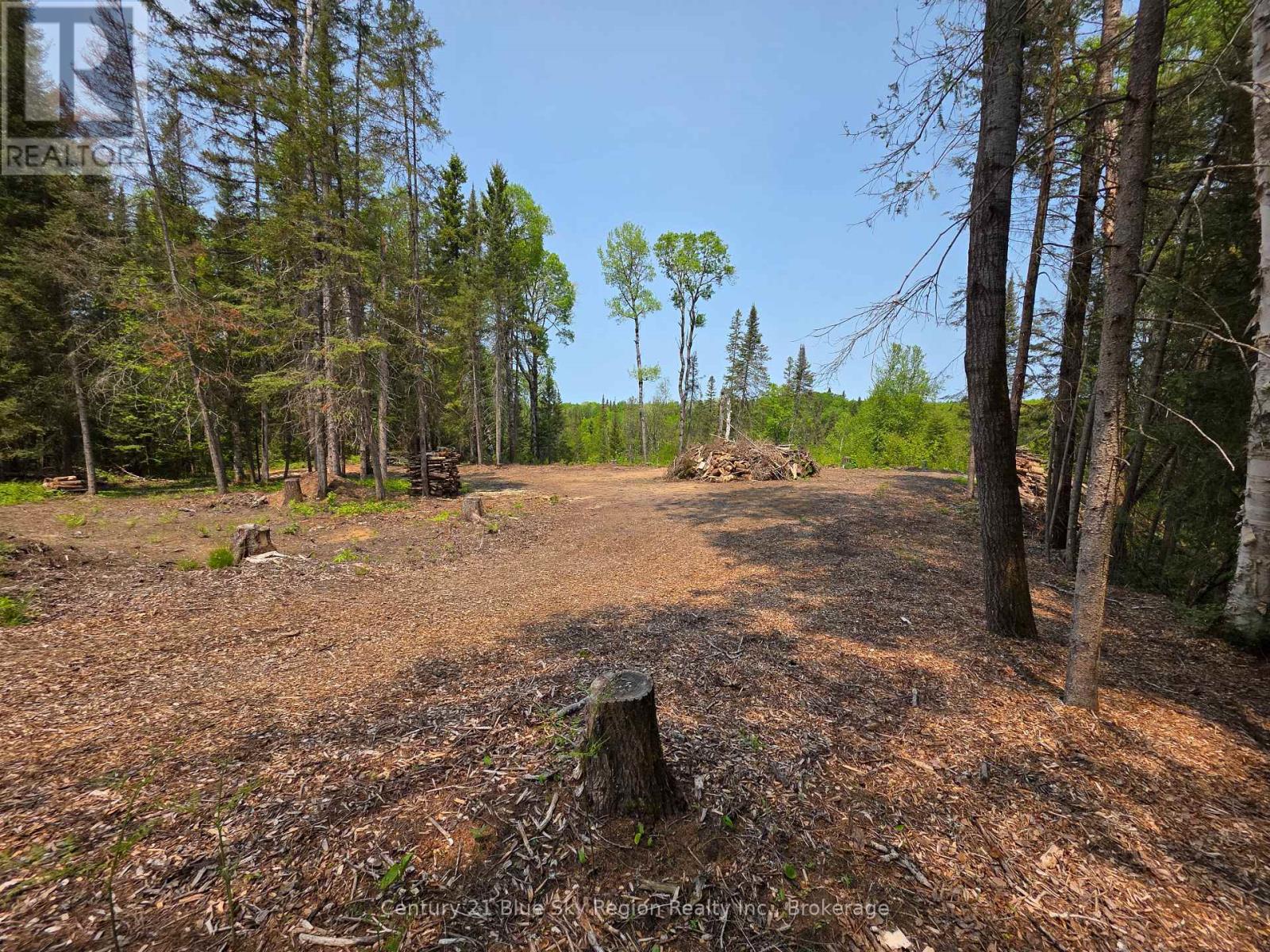 356 Hunt Line Property Photo 16