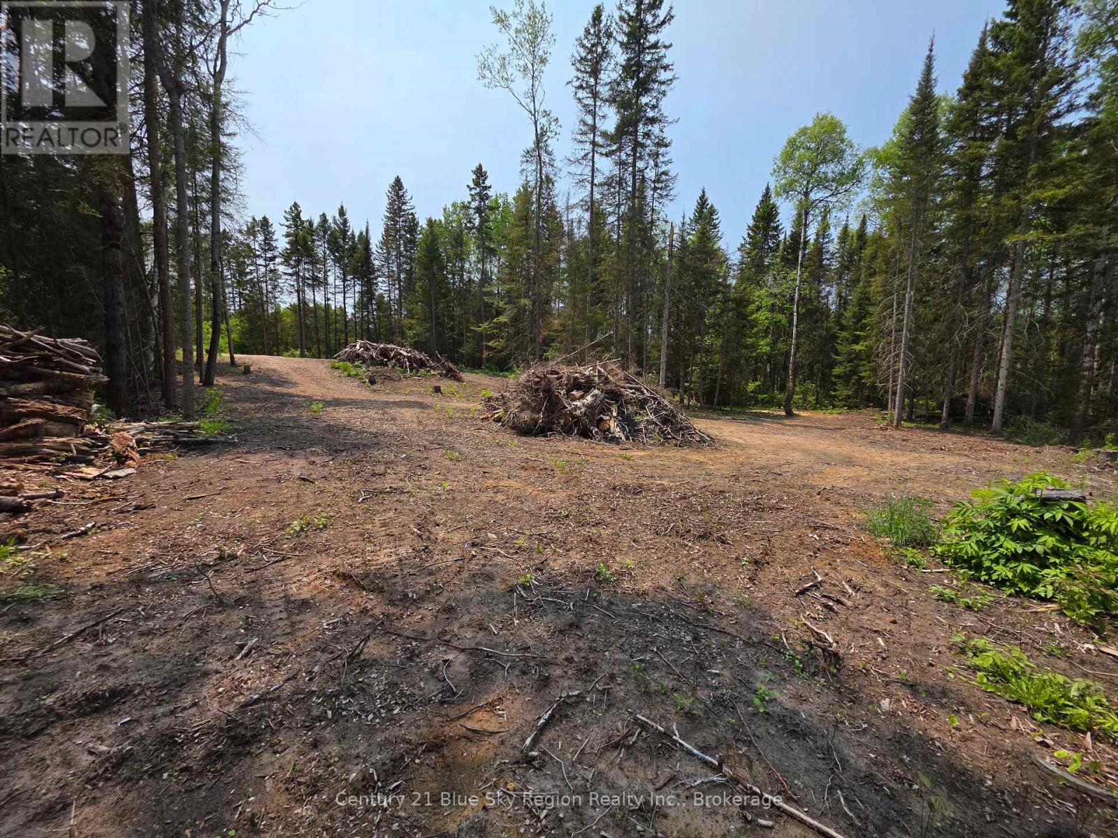 356 Hunt Line Property Photo 17