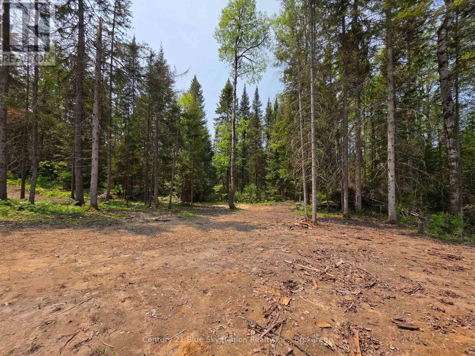 356 Hunt Line Property Photo 18