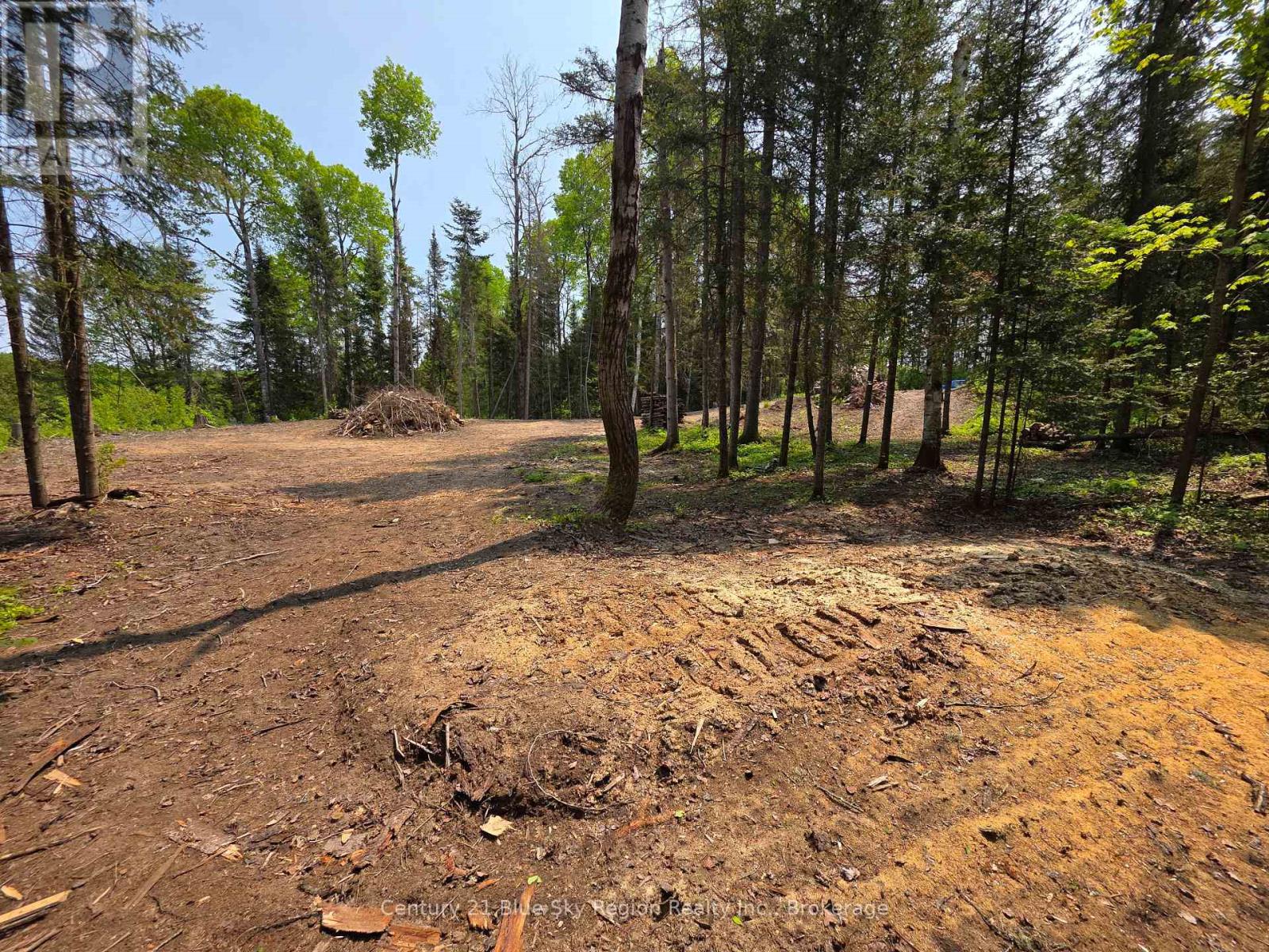 356 Hunt Line Property Photo 19