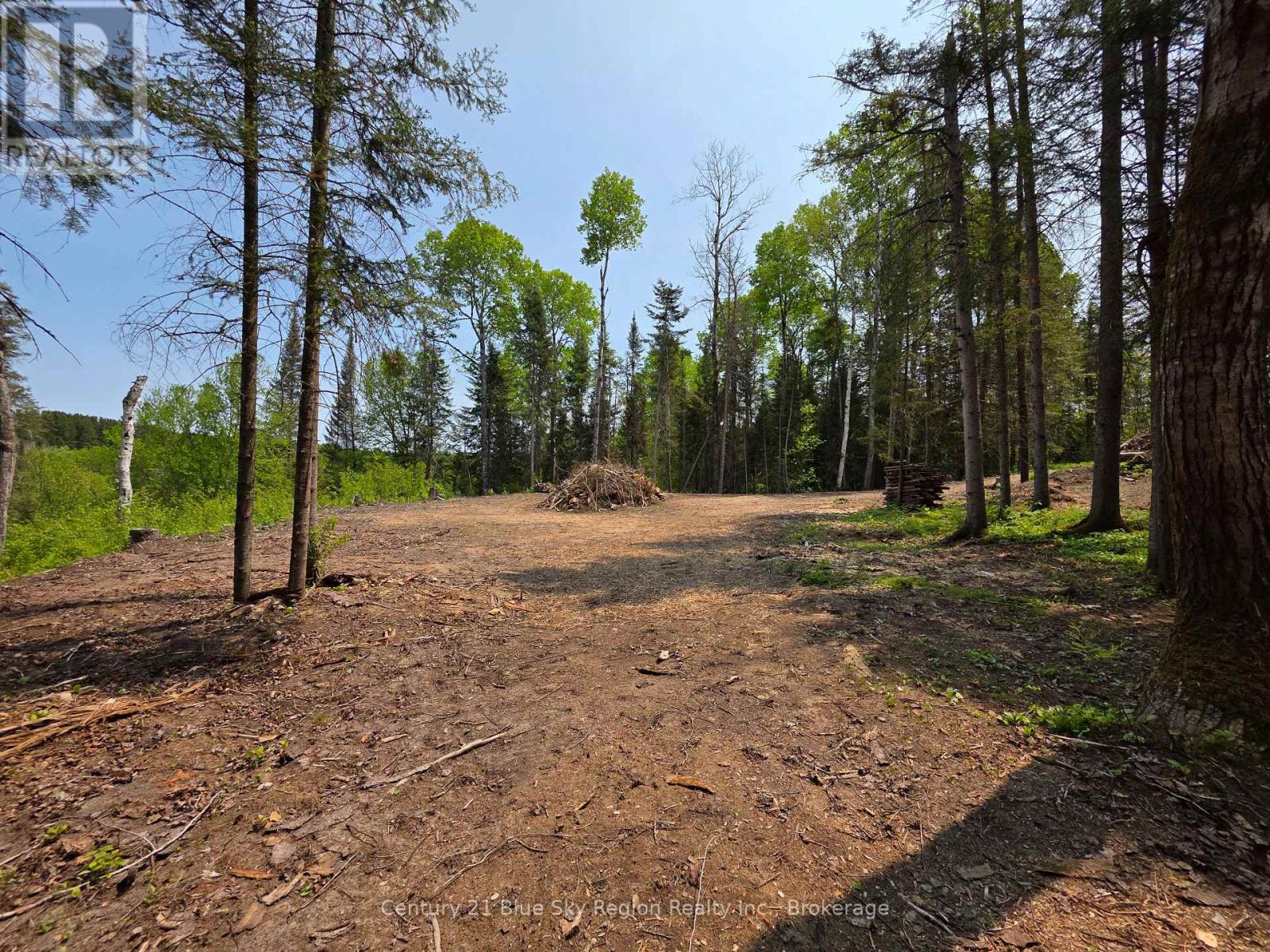 356 Hunt Line Property Photo 20