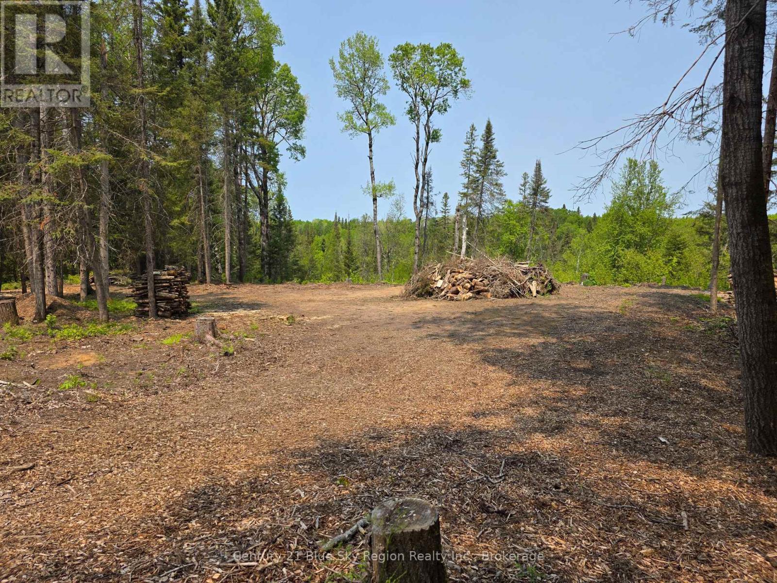 356 Hunt Line Property Photo 21