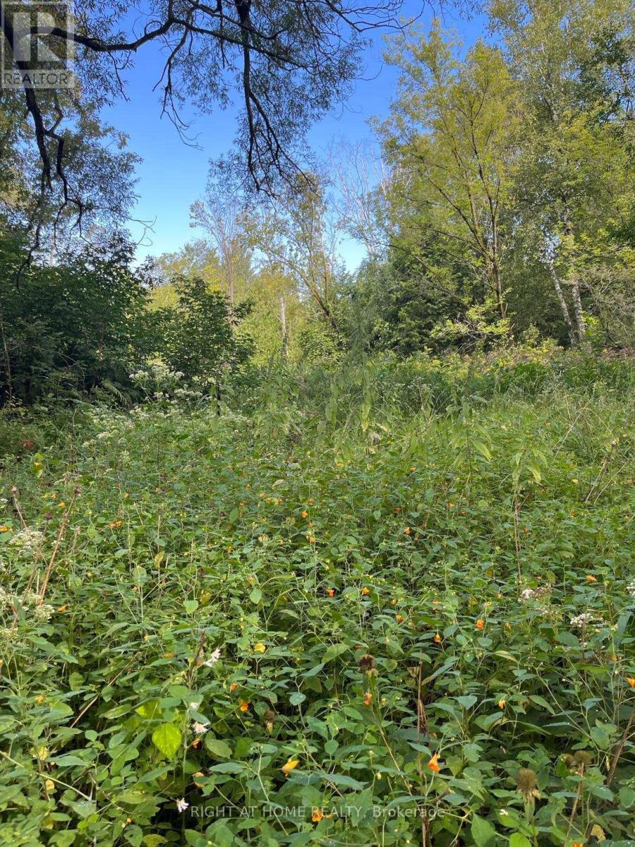 5218 Hillview Drive Property Photo 4