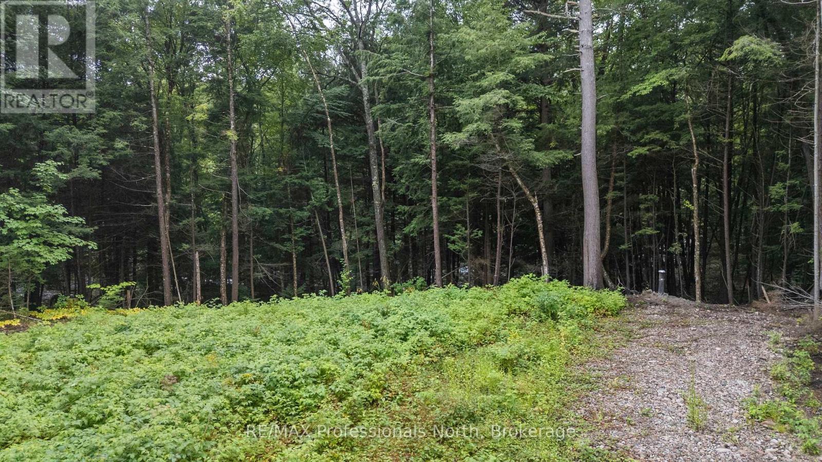 1211 Hawk Valley Road Property Photo 6