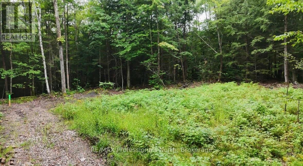 1211 Hawk Valley Road Property Photo 10