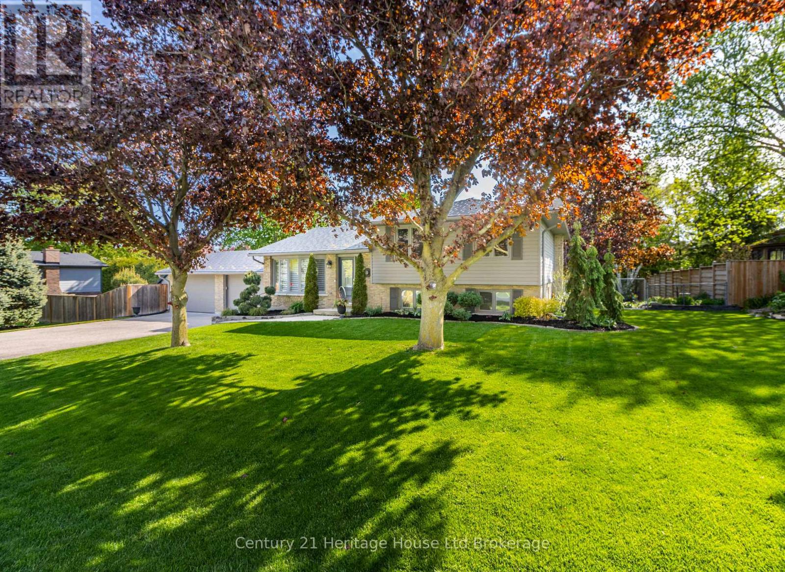 11 Millard Street Property Photo 42