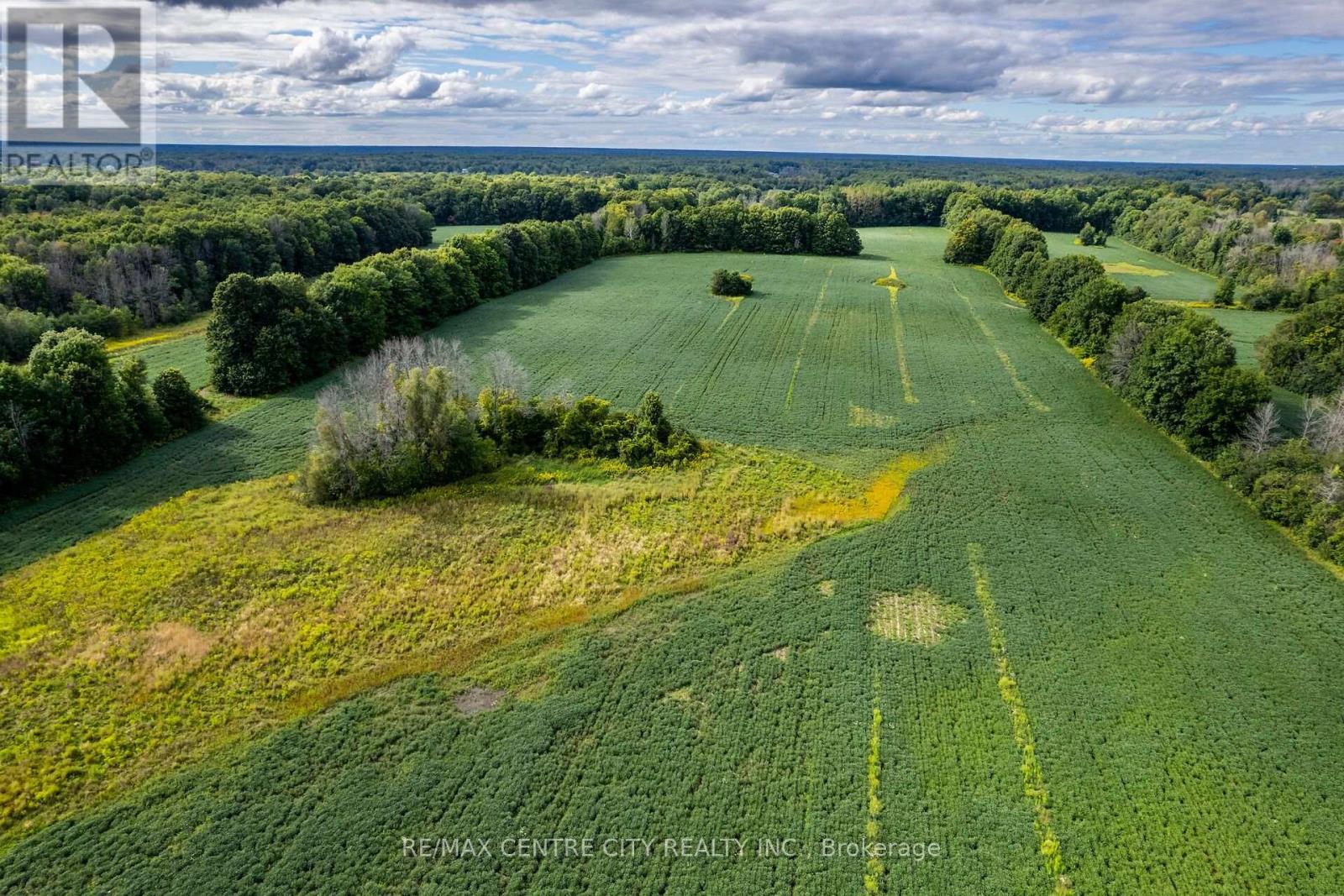 6628 Nash Side Road Property Photo 8