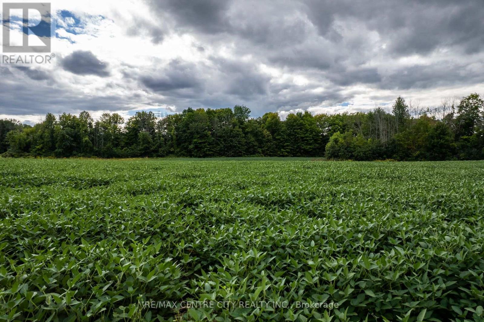 6628 Nash Side Road Property Photo 14