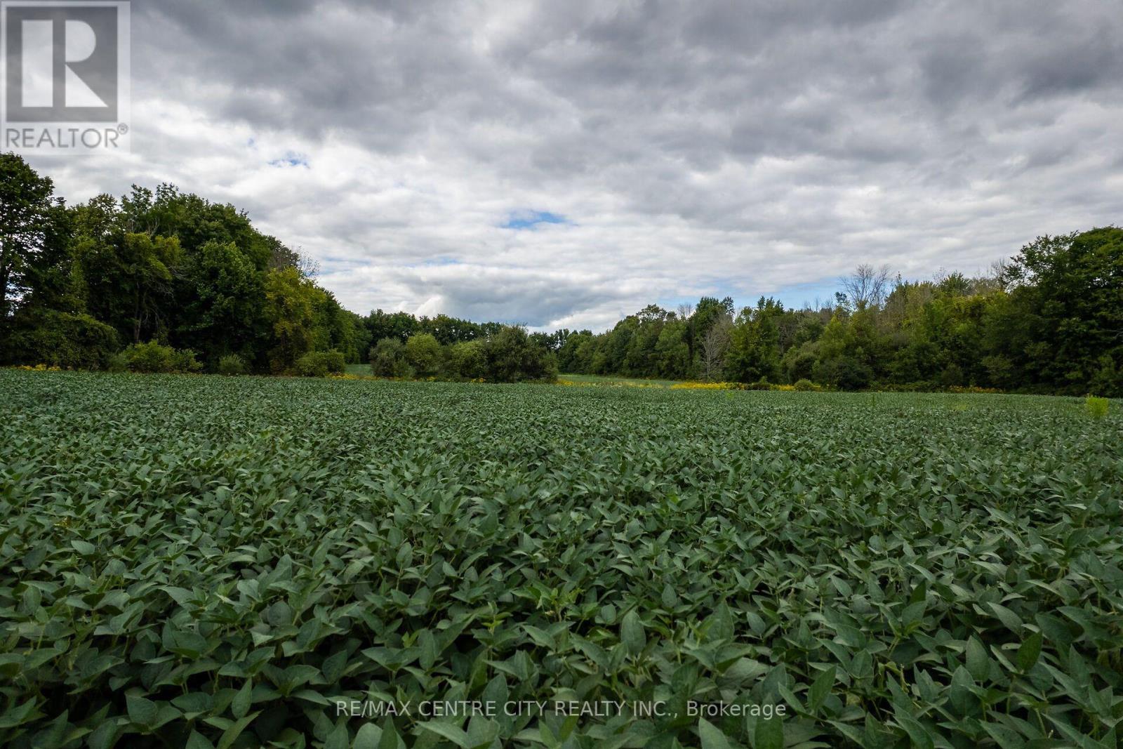 6628 Nash Side Road Property Photo 15