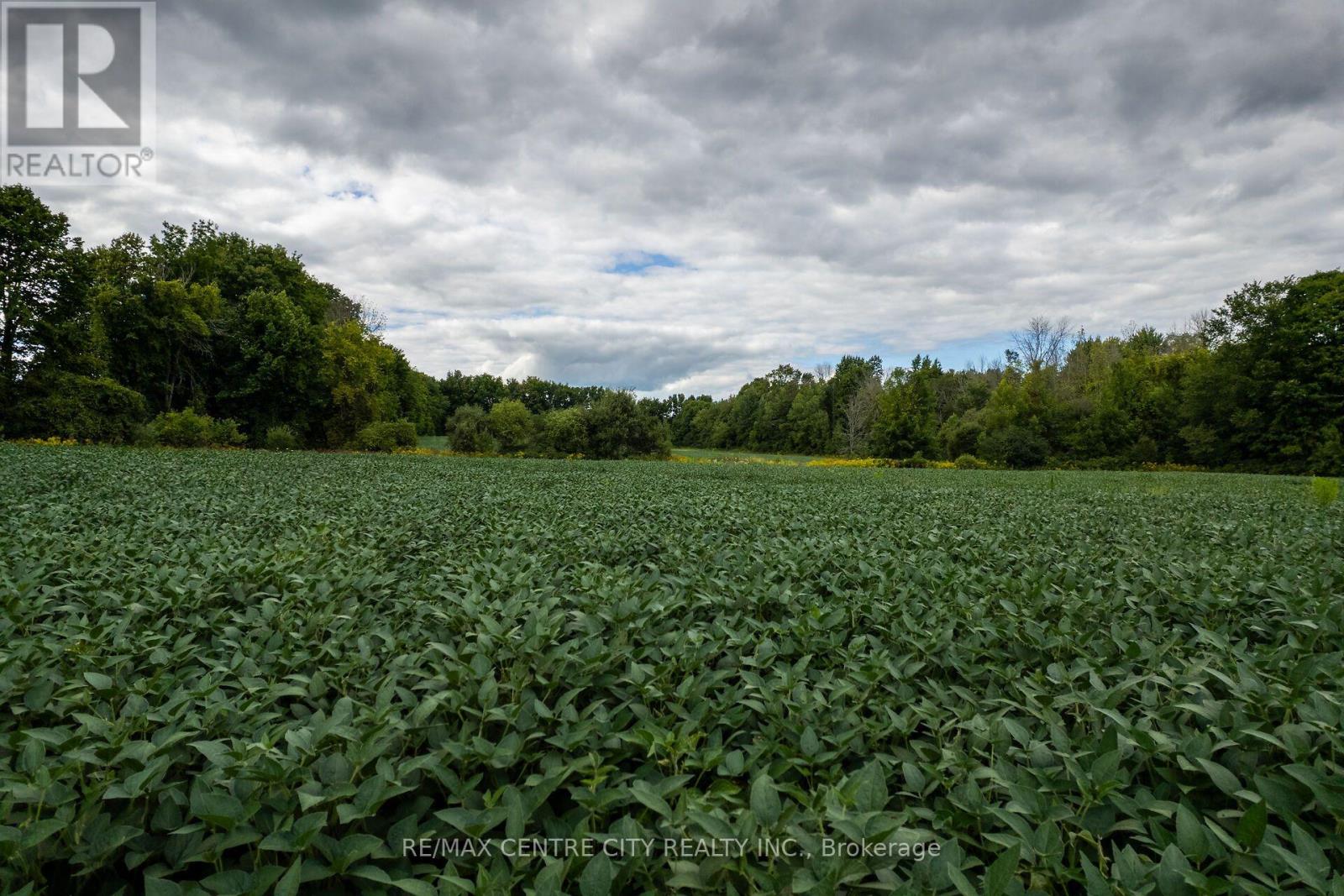 6628 Nash Side Road Property Photo 16