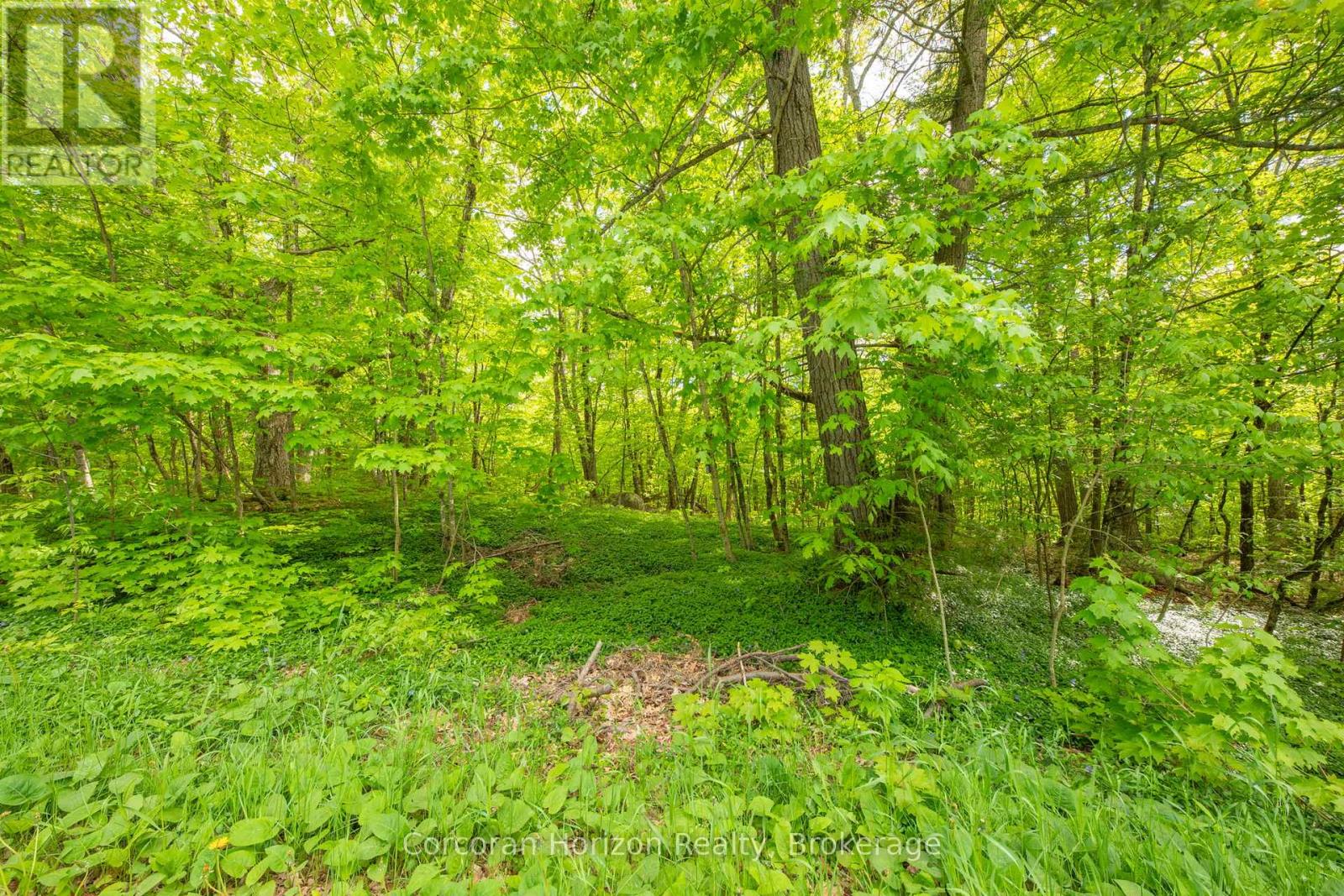 1020 Ridge Road Property Photo 18