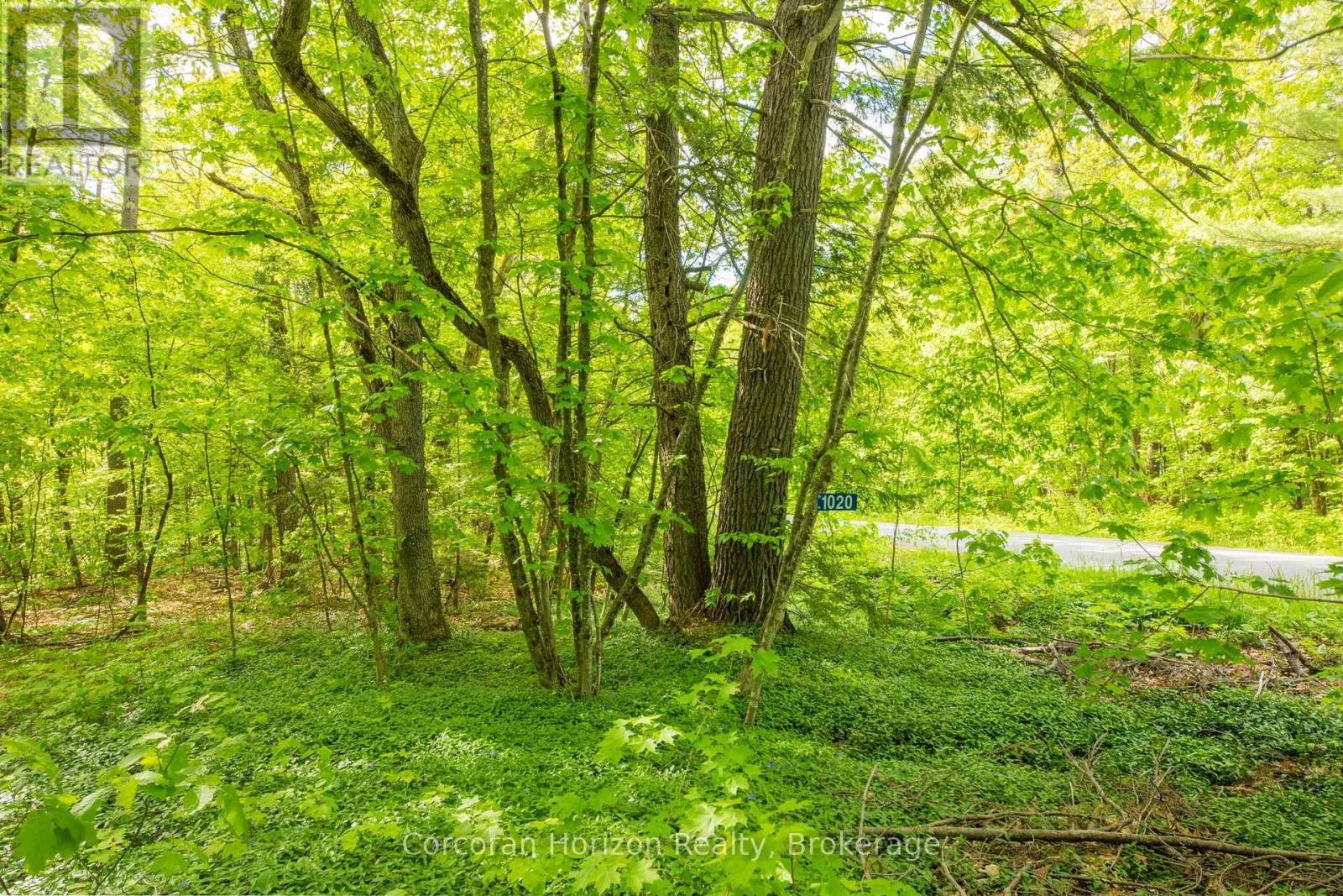 1020 Ridge Road Property Photo 19