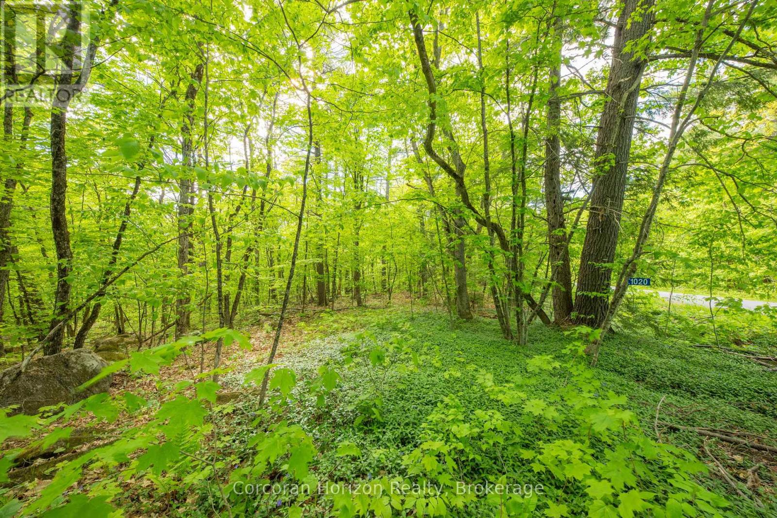 1020 Ridge Road Property Photo 20