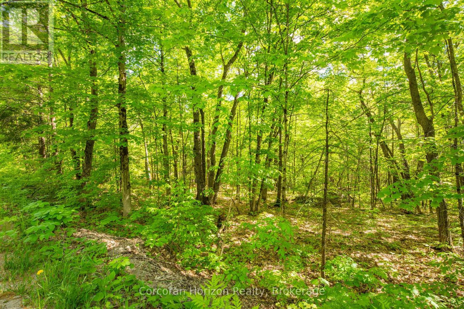 1020 Ridge Road Property Photo 23