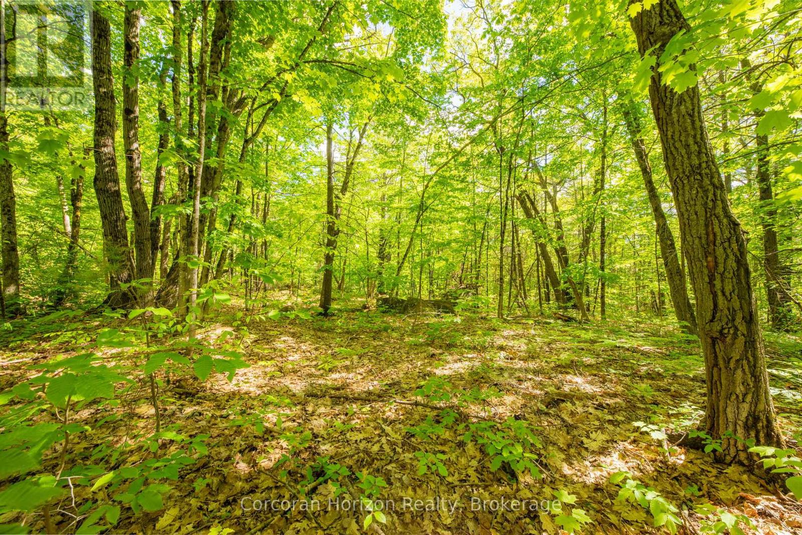 1020 Ridge Road Property Photo 24