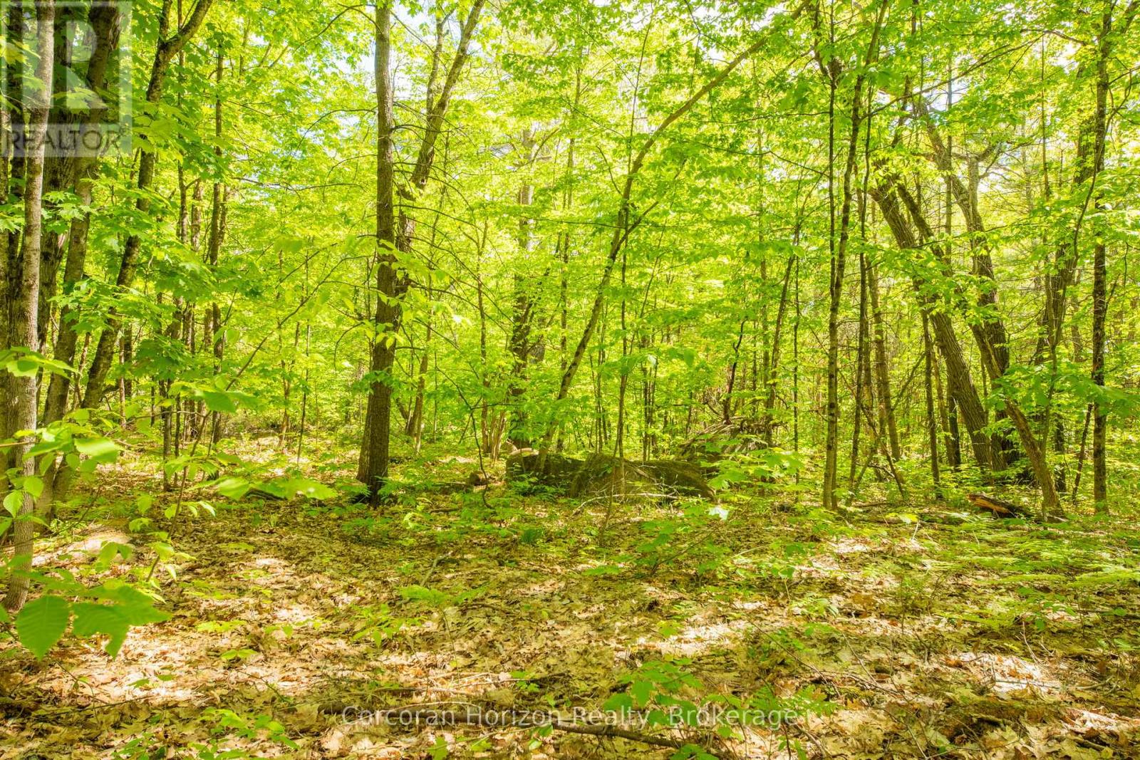 1020 Ridge Road Property Photo 25