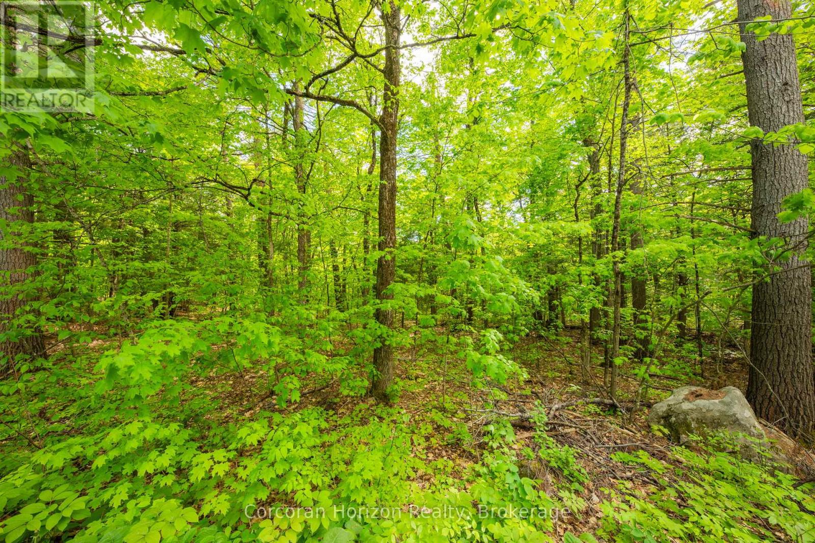 1020 Ridge Road Property Photo 26
