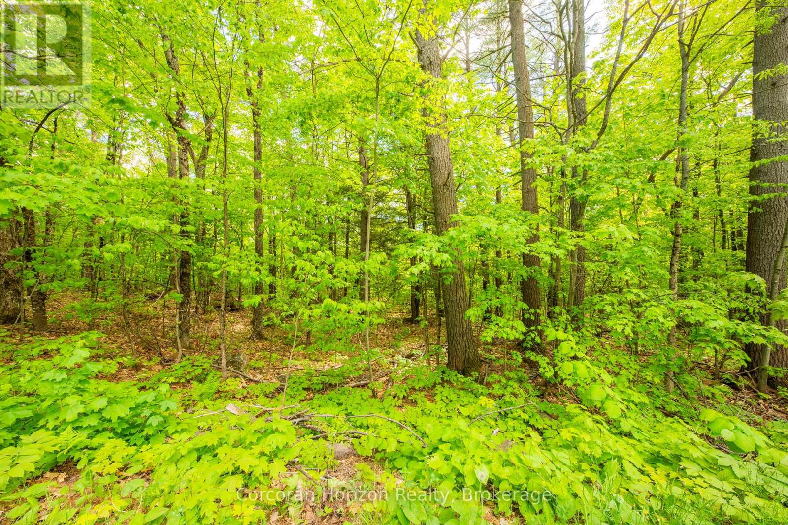 1020 Ridge Road Property Photo 27