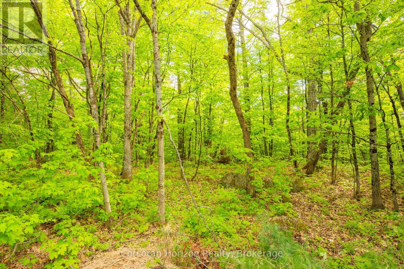1020 Ridge Road Property Photo 30