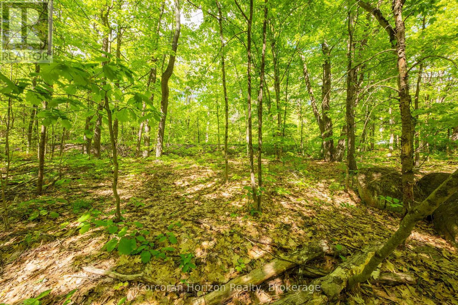 1020 Ridge Road Property Photo 31