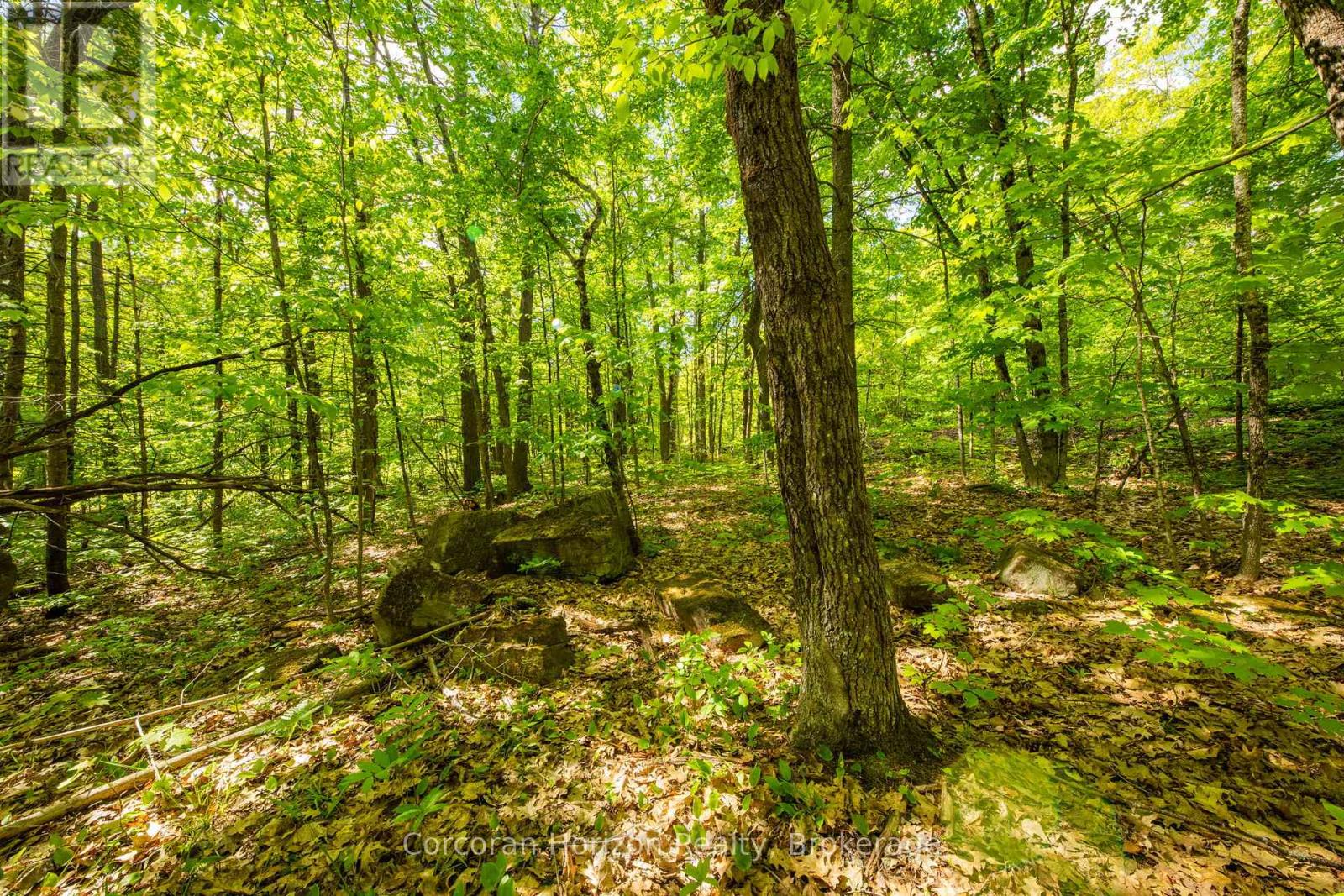 1020 Ridge Road Property Photo 32