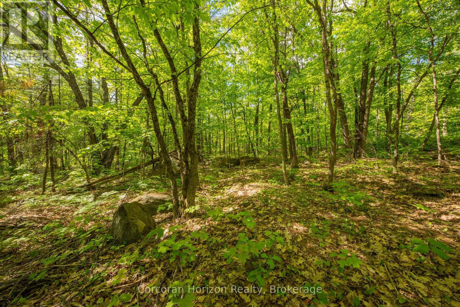 1020 Ridge Road Property Photo 33