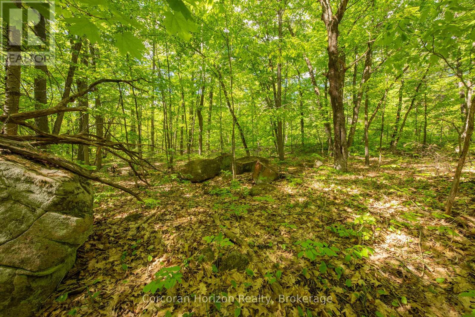 1020 Ridge Road Property Photo 34