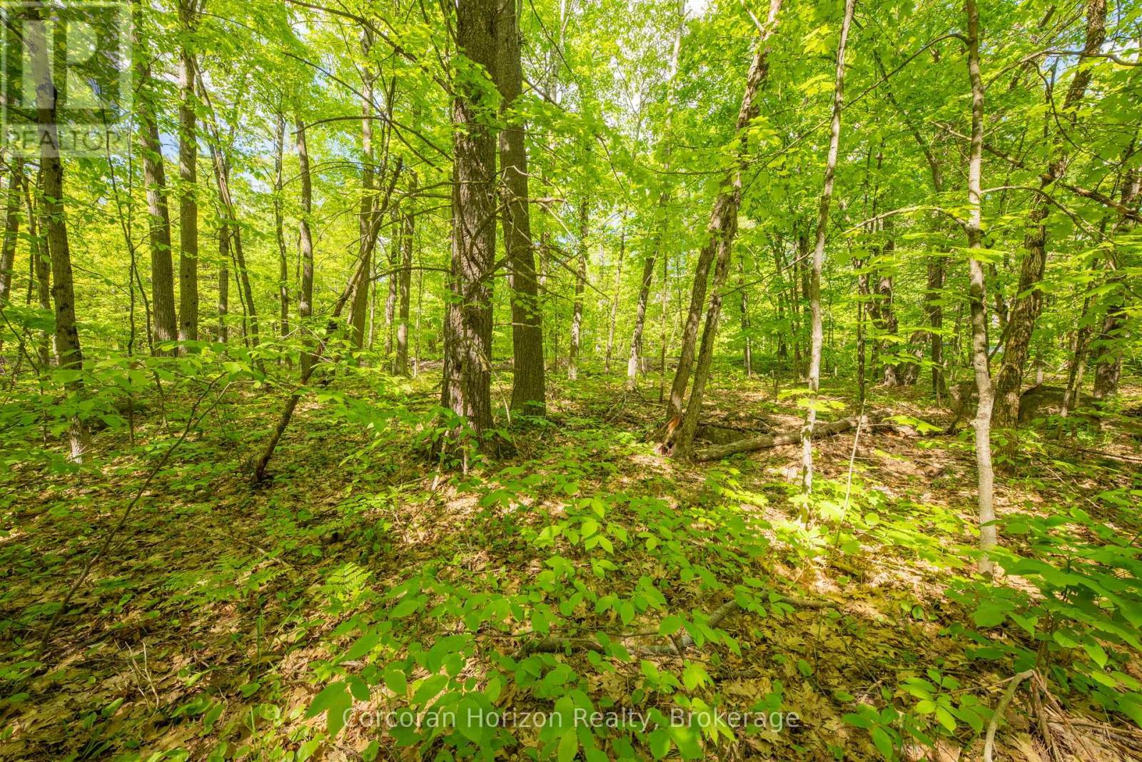 1020 Ridge Road Property Photo 35
