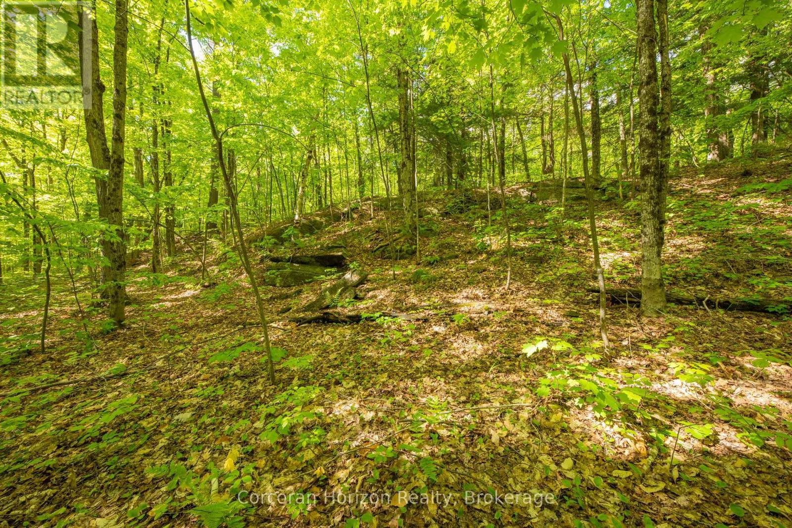 1020 Ridge Road Property Photo 37