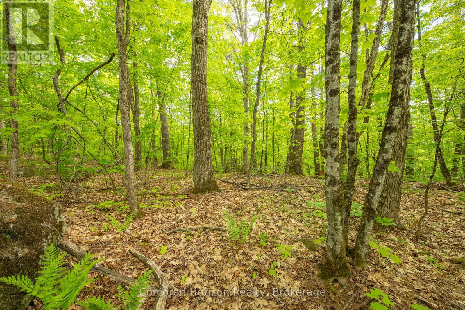 1020 Ridge Road Property Photo 39