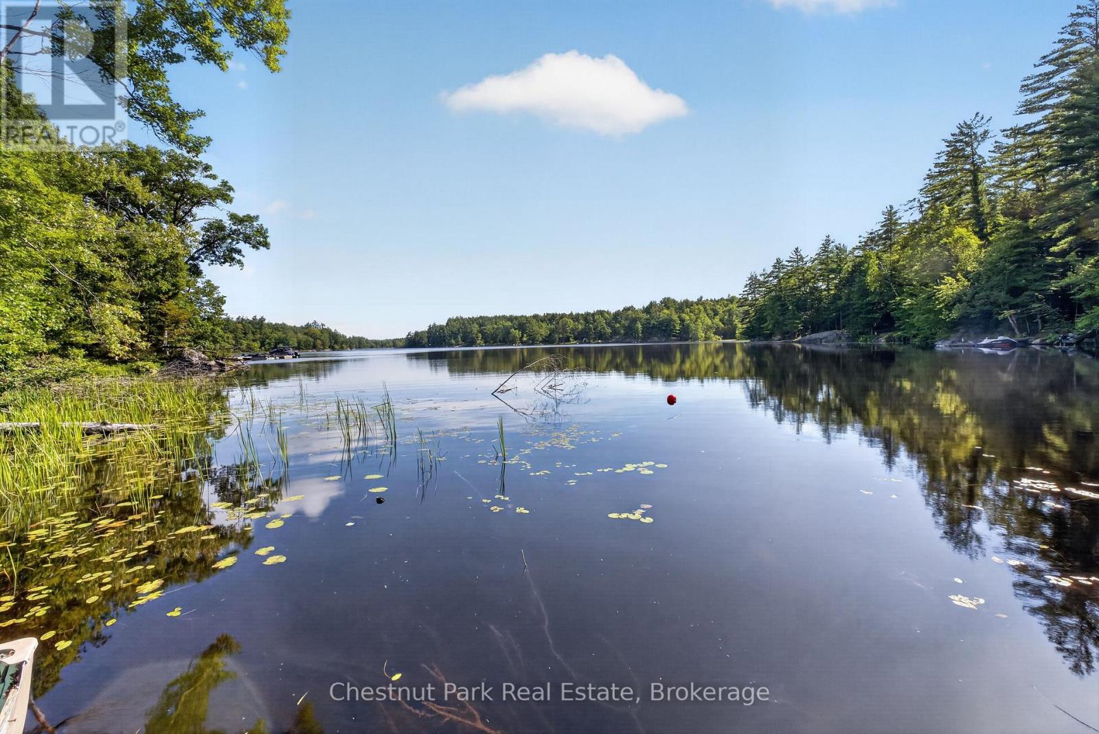 1627 Houseys Rapids Road Property Photo 14