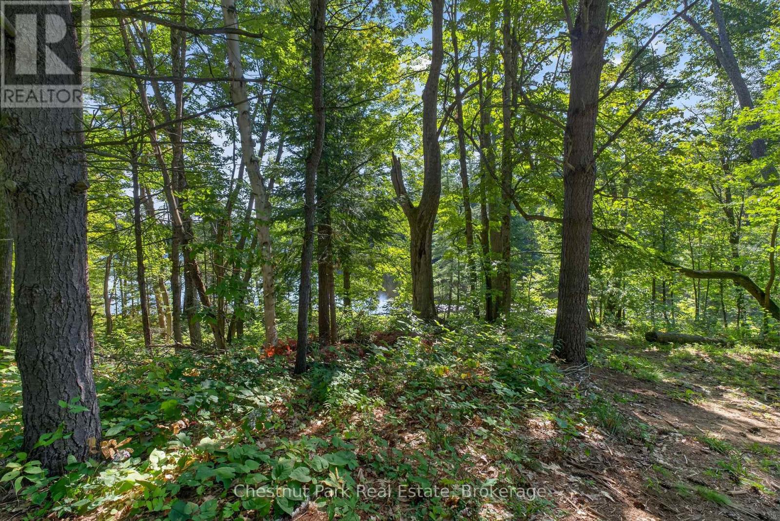1627 Houseys Rapids Road Property Photo 17