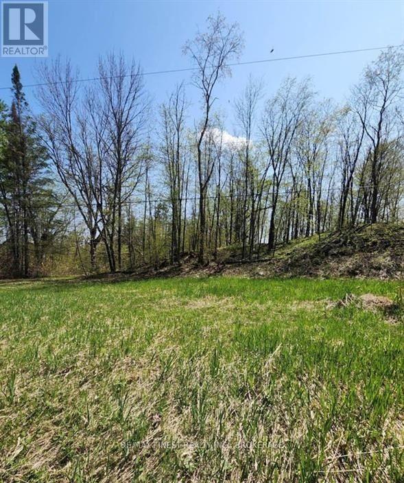 0 Burke Settlement Road Property Photo 5