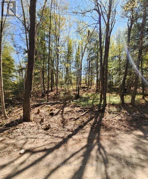0 Burke Settlement Road Property Photo 7