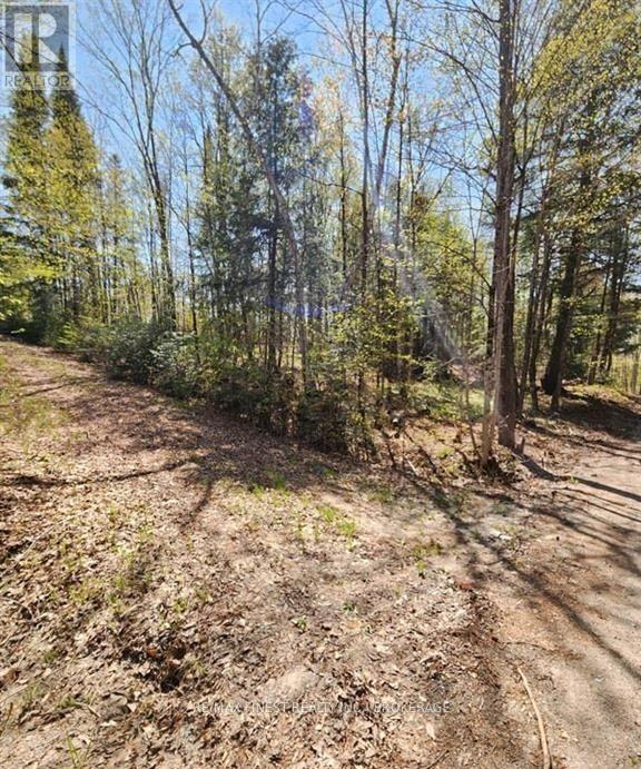 0 Burke Settlement Road Property Photo 8