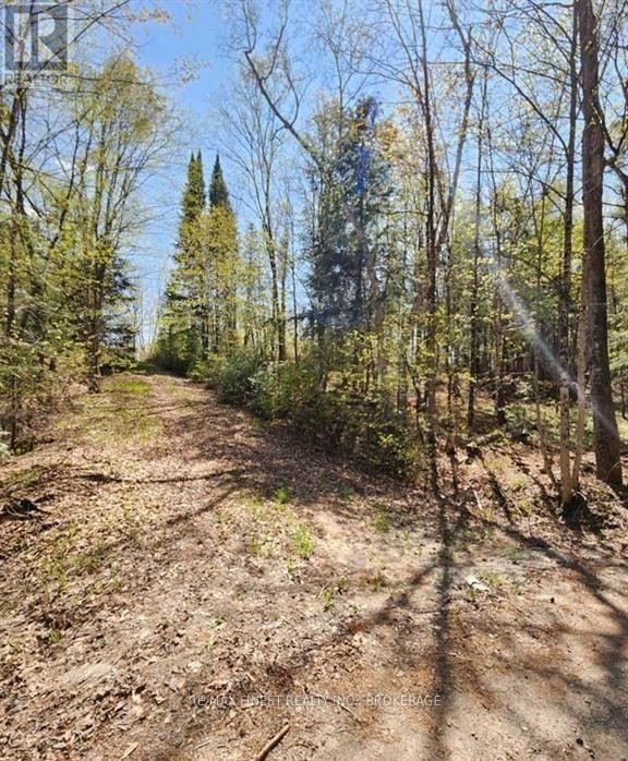 0 Burke Settlement Road Property Photo 9
