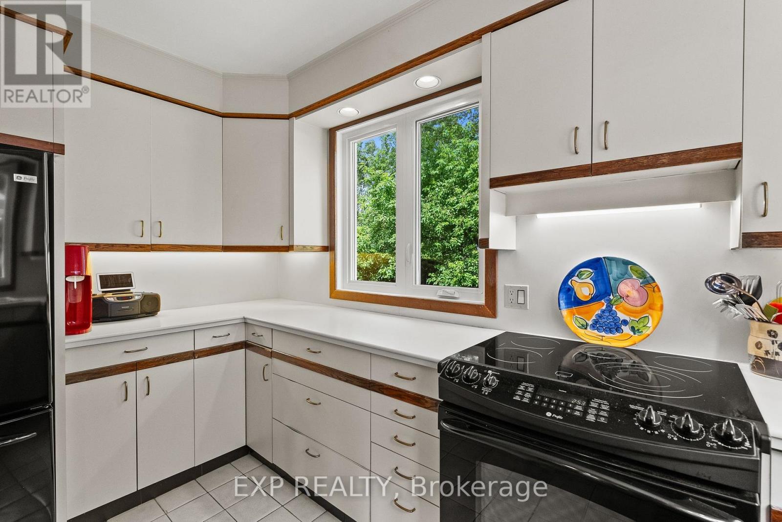 579 Broadview Avenue Property Photo 6