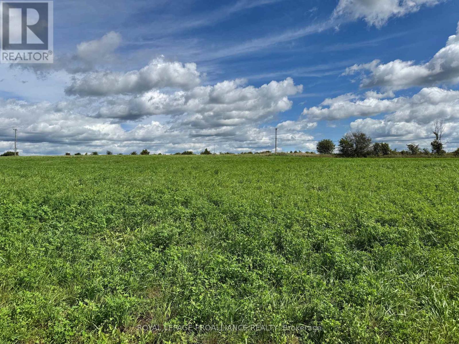 Lot 3 County Road 18 Road Property Photo 8