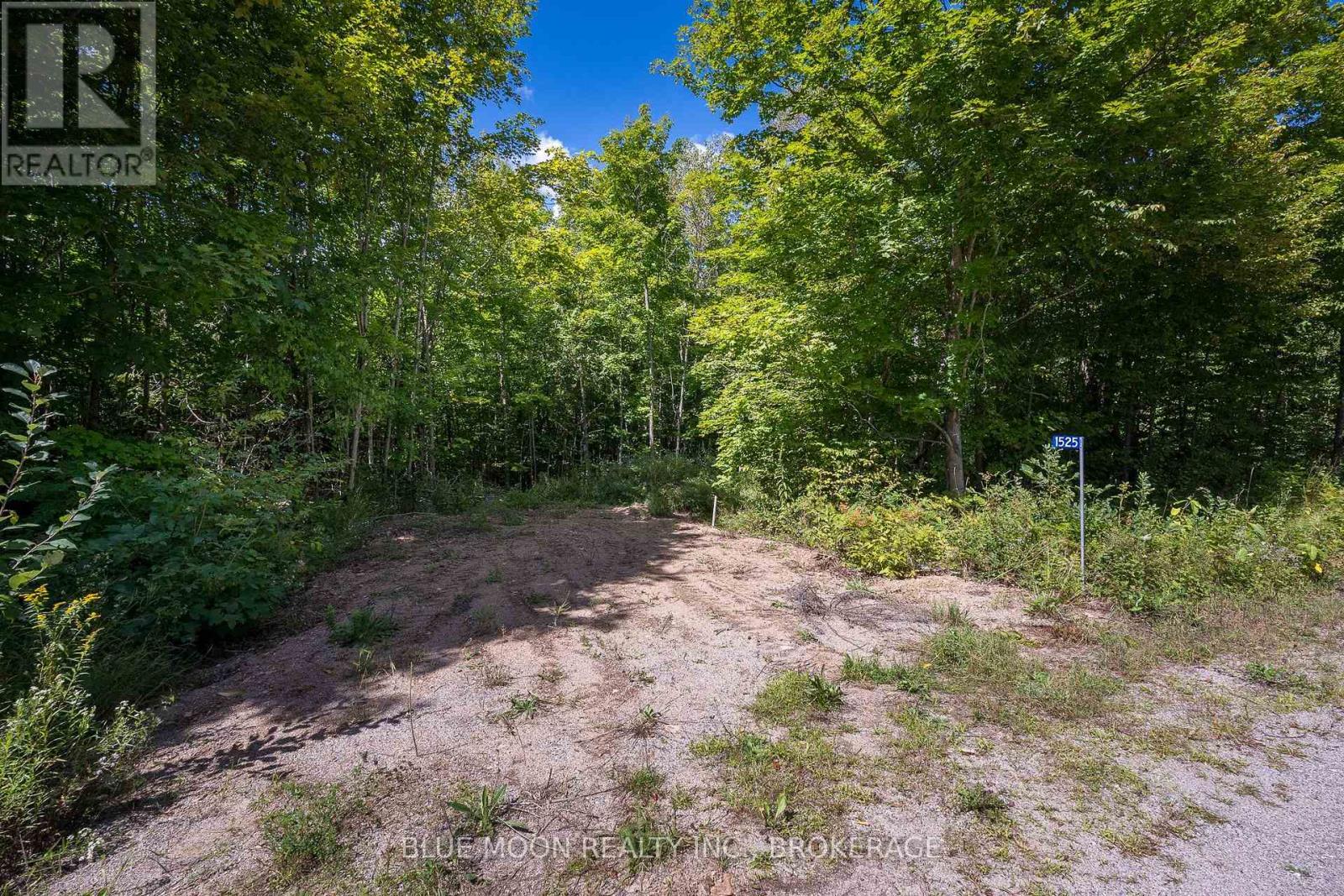 0 Myers Cave Road Property Photo 2