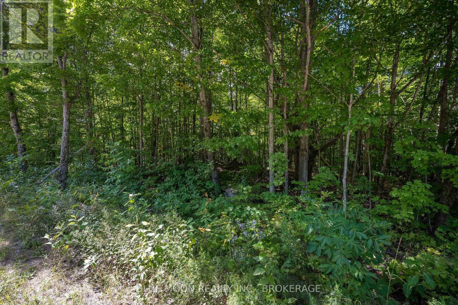 0 Myers Cave Road Property Photo 3