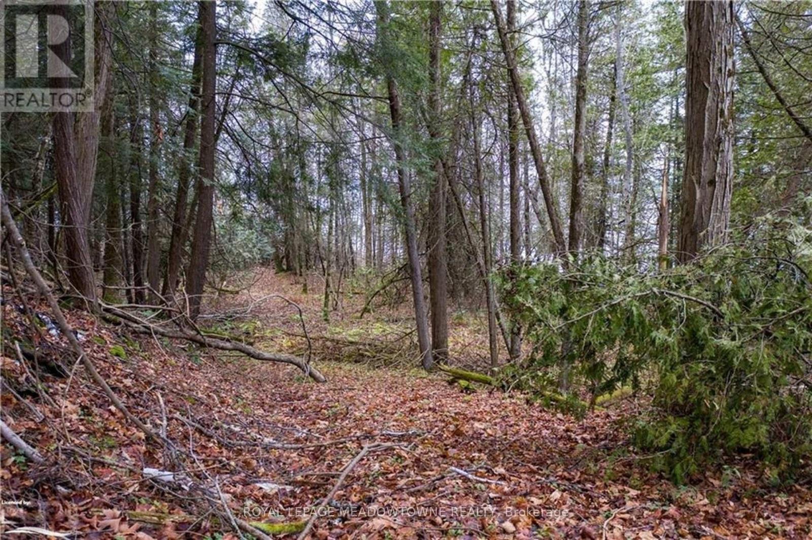 Lot 12 Eagle Ridge Drive Property Photo 5