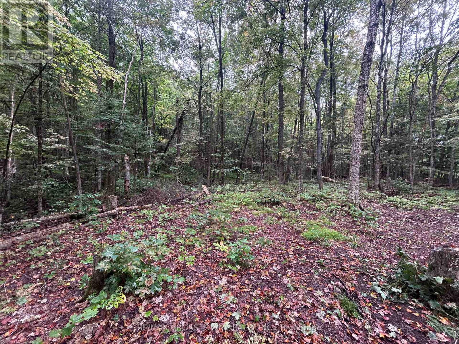 0 Queens Line Road Property Photo 6