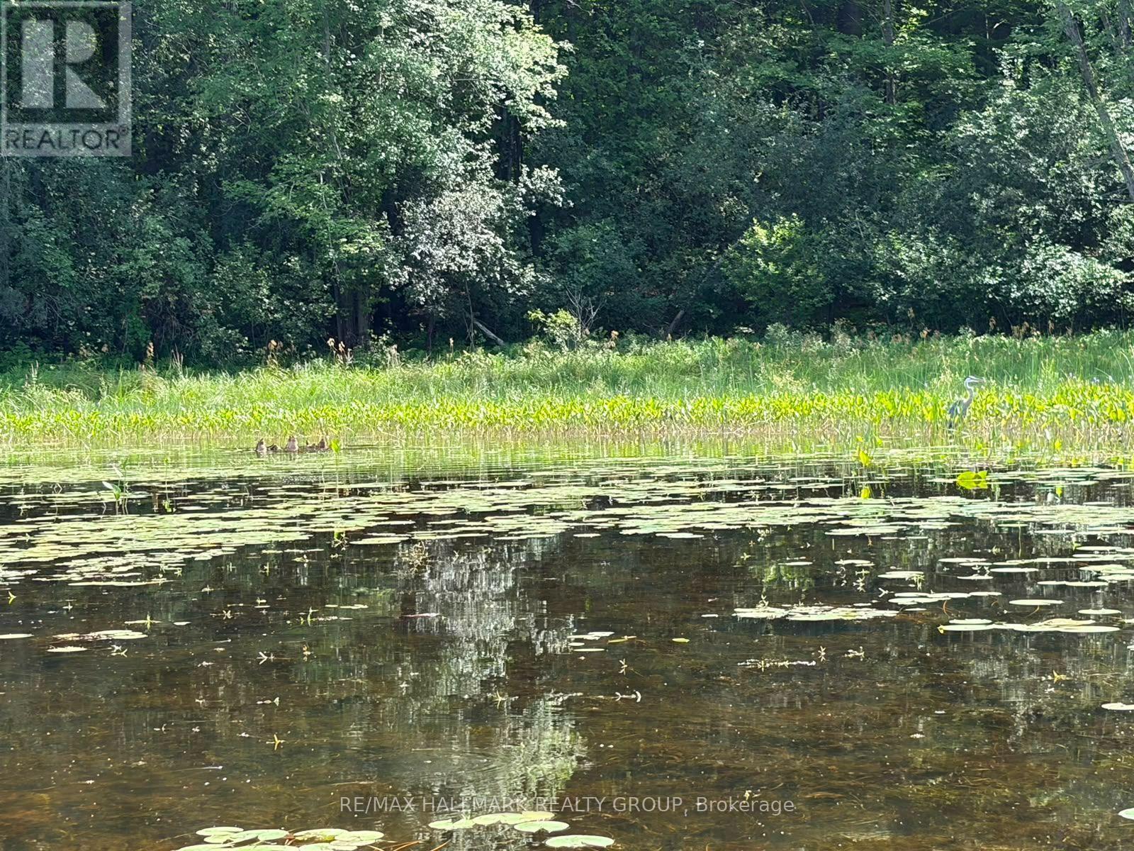 180 Kedey Island Property Photo 3