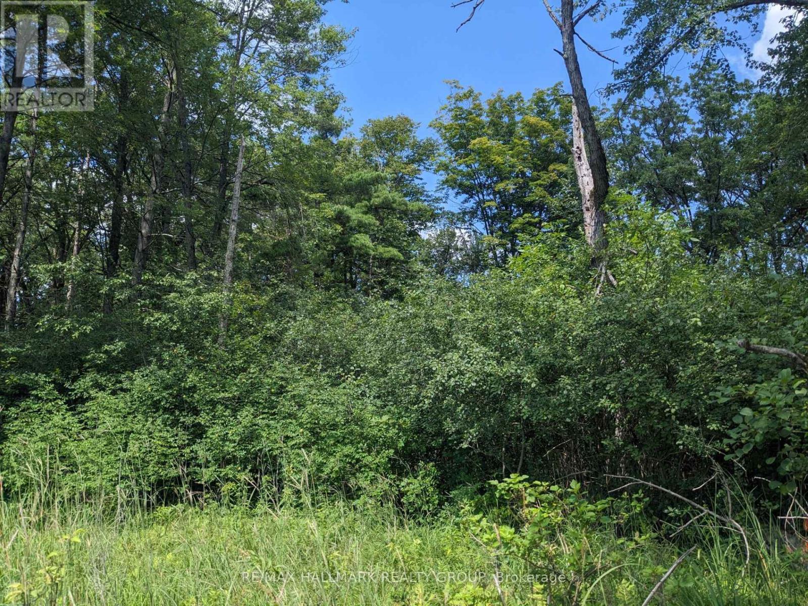 180 Kedey Island Property Photo 4