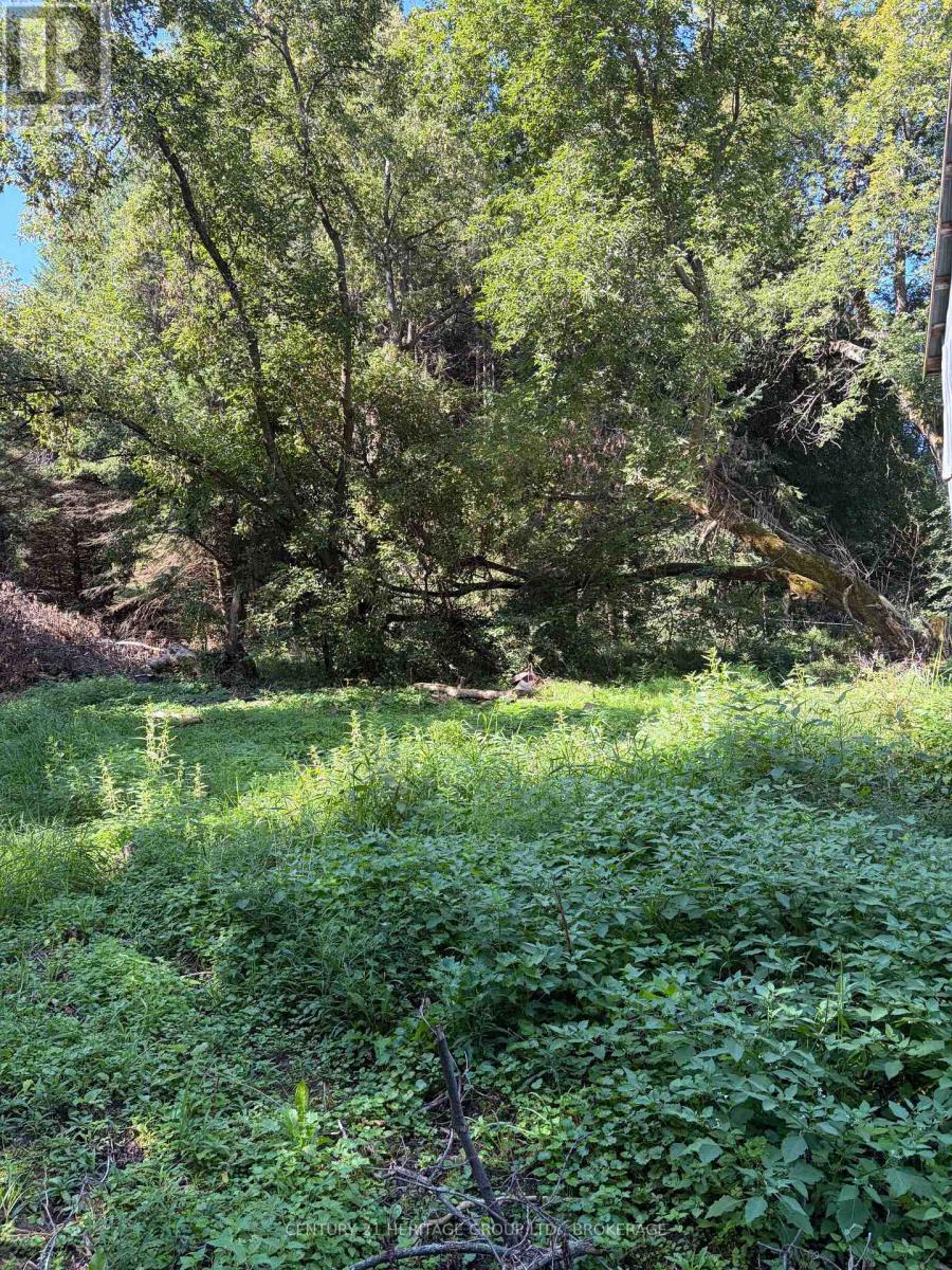 523 Lower Oak Leaf Road Property Photo 11